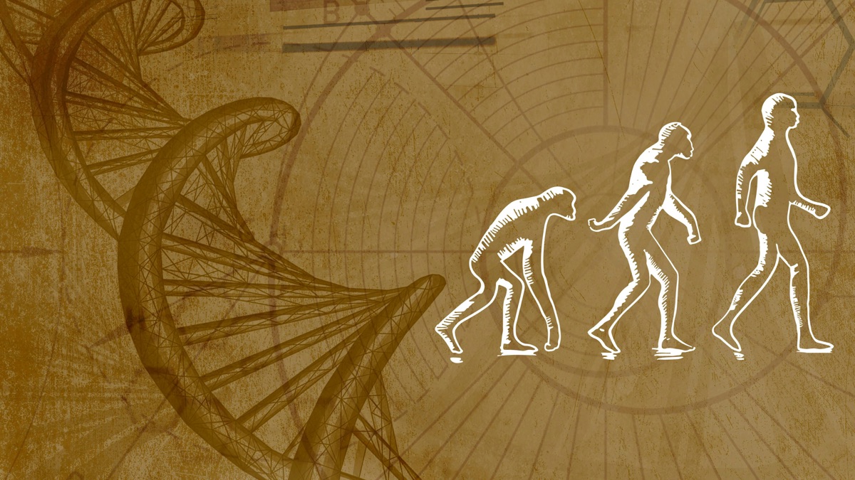 ‎Debunking Evolutionary Myths – Inner Evolution (Season 1, Episode 2 ...
