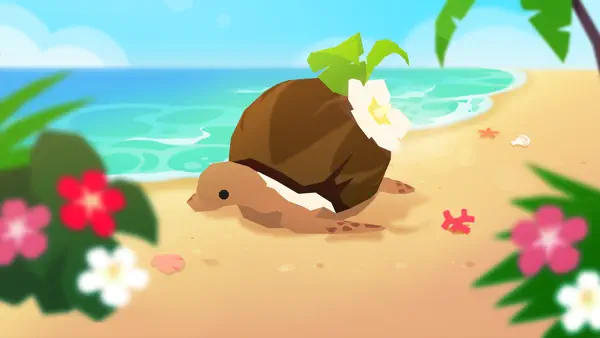 Coconut Pass Update!