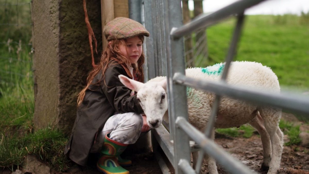 Episode 7 Fletcher's Family Farm (Series 1, Episode 7) Apple TV (UK)