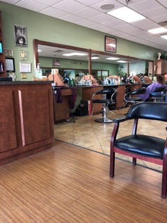 Shear Hair Experience