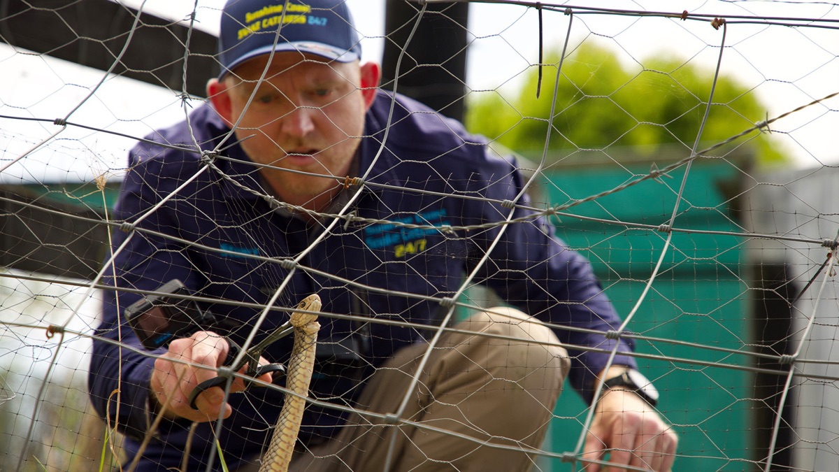 ‎Reptile Runabout – Aussie Snake Wranglers: Deadly Pursuit (Season 1 ...