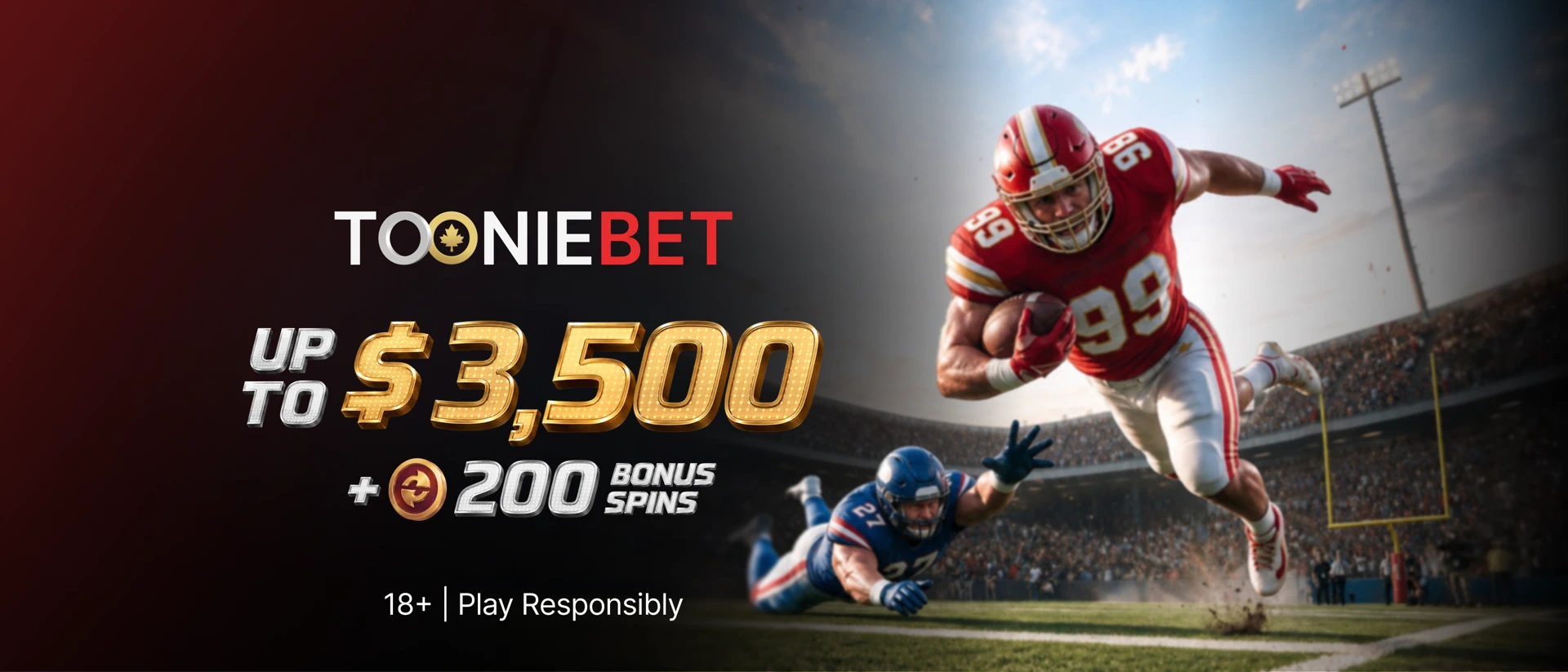 ToonieBet - Casino & Betting product page header