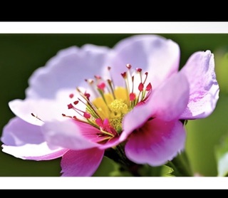 The Tat Room photo 6