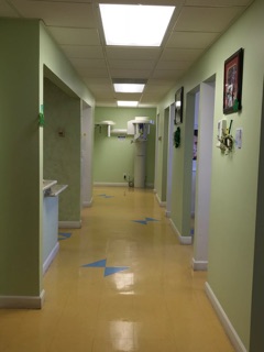 Encino Friendly Dental Center
