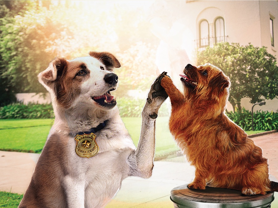 Paw to the Rescue - Apple TV