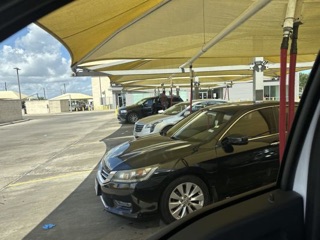 Honey Sheep’s Car Wash