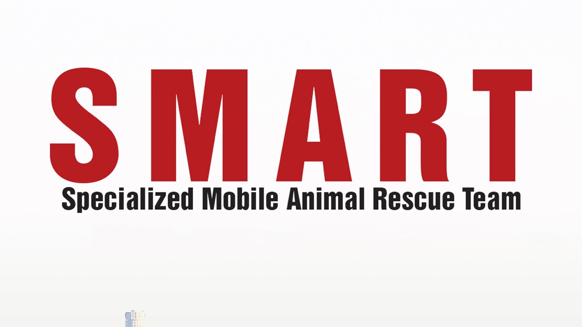 ‎SMART: Specialized Mobile Animal Rescue Team - Apple TV