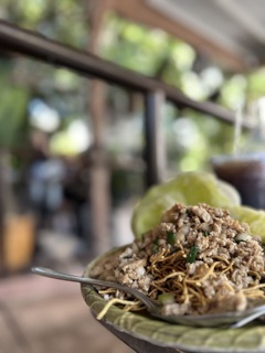 The Silver Lake House