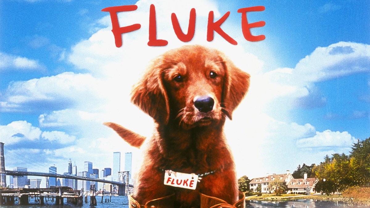 Fluke, memorias de otra vida Apple TV