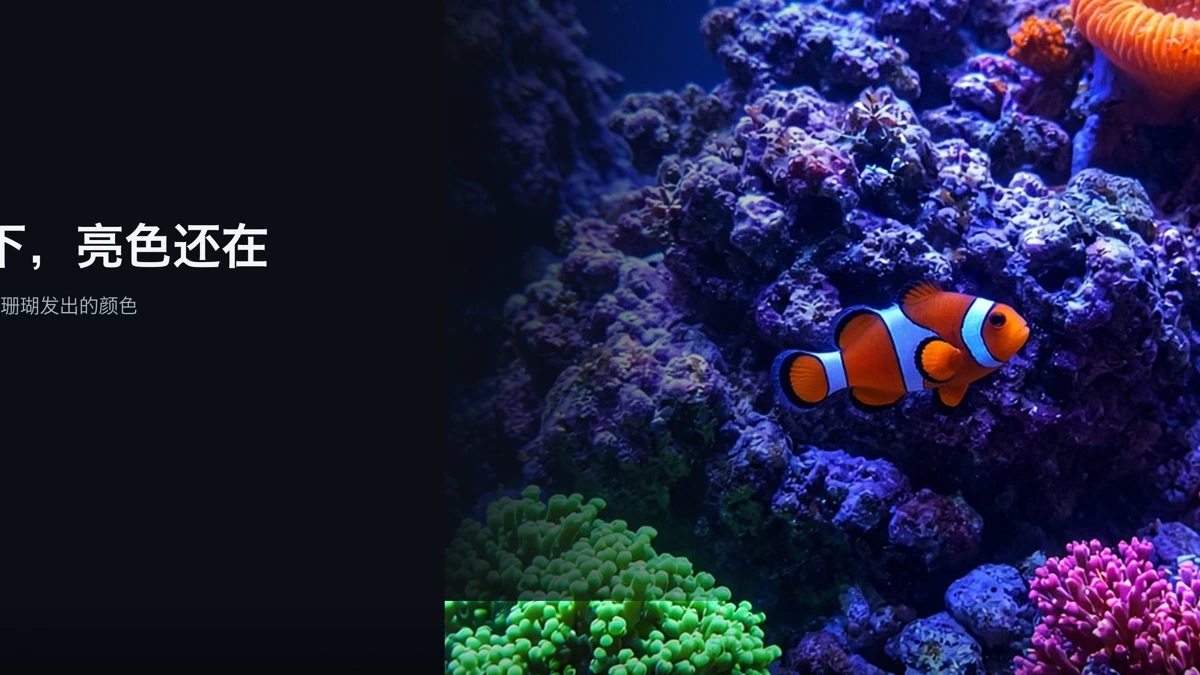 海缸相机 App Store product page header