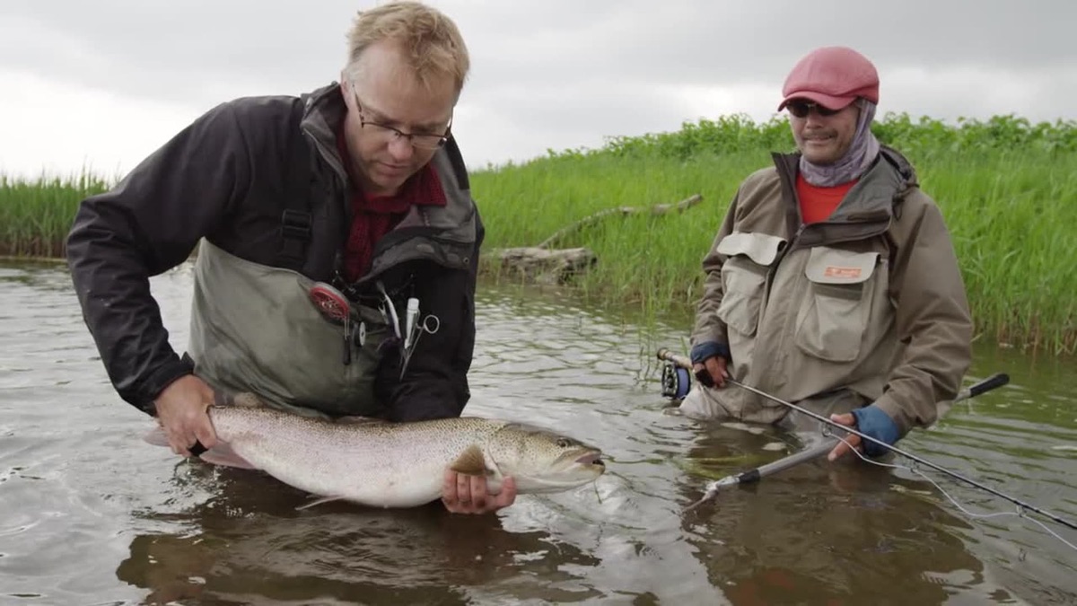 Predator - Planet Fly Fish (Season 1, Episode 2) - Apple TV