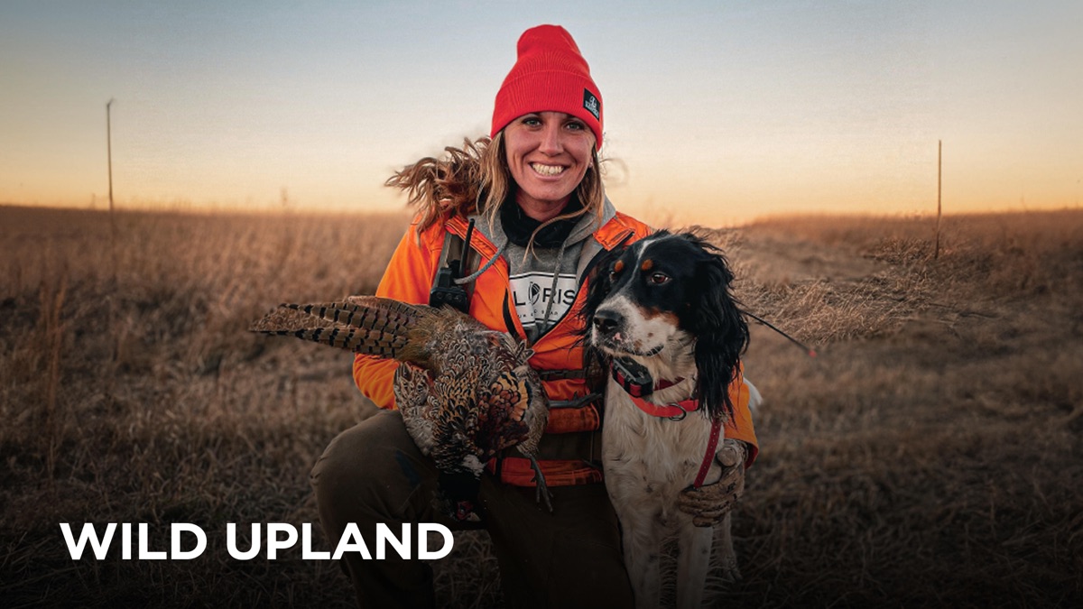 ‎Wild Upland - Apple TV