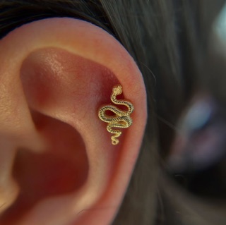 Morph Body Arts photo 6