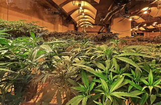 Cannacheap in Washington, DC United States - Apple Maps