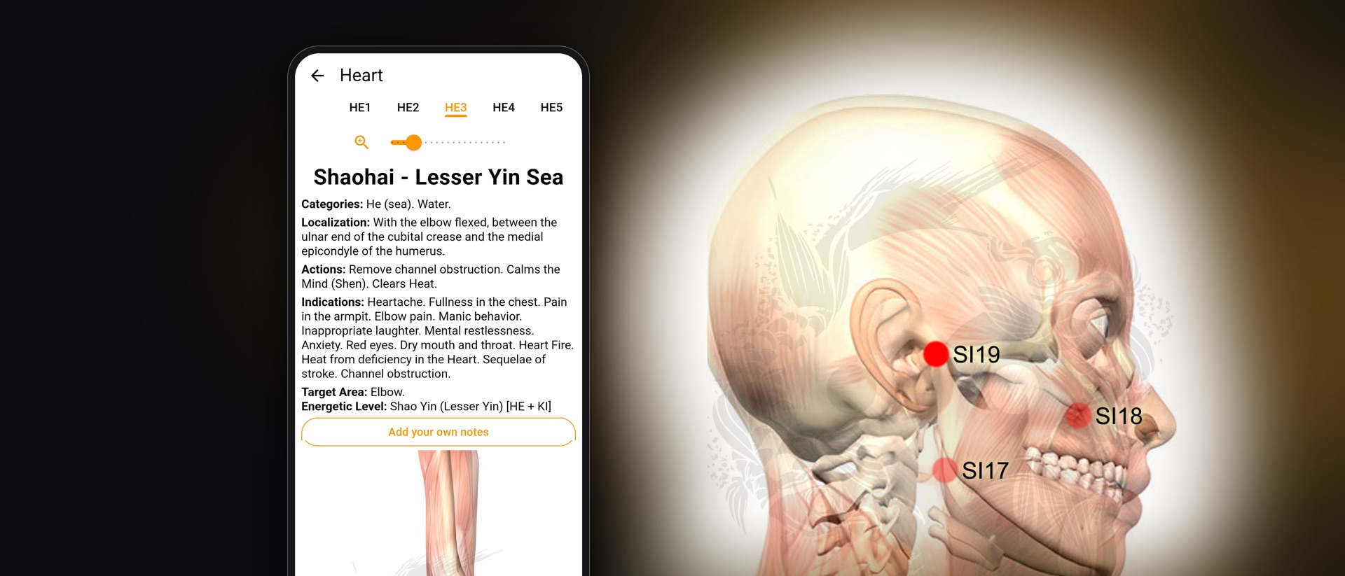Acupuncture Assistant product page header