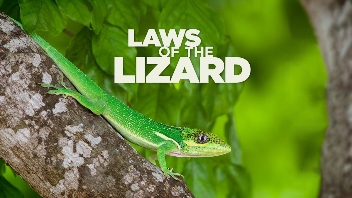 ‎Laws of the Lizard - Apple TV