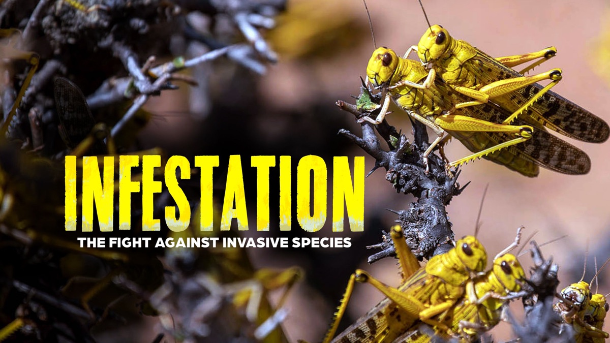 ‎Infestation The Fight Against Invasive Species - Apple TV