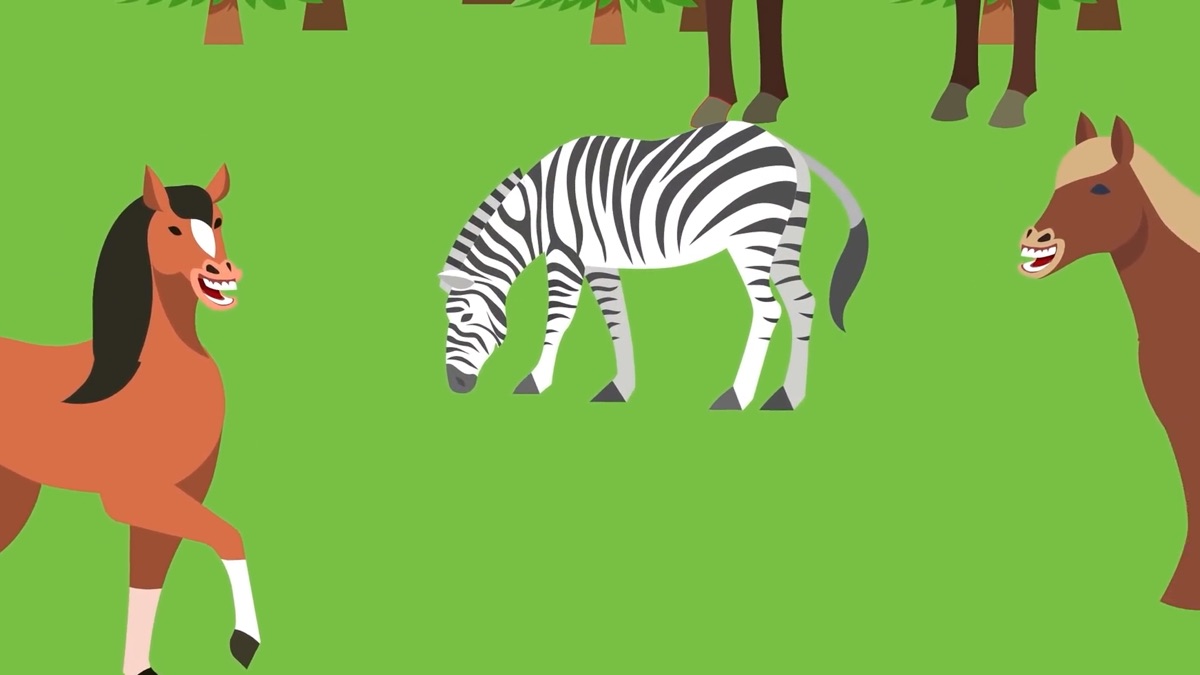 ‎Why Don't We Ride Zebras?; Why Does Your Dog Do This? – The ...