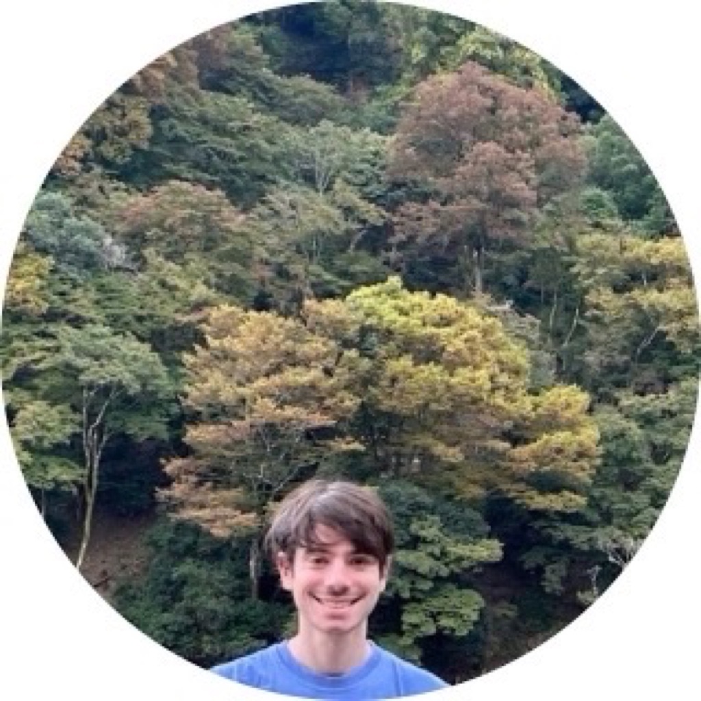 AppleMusic profile picture for @methane