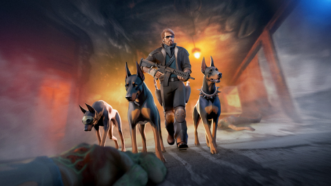 Read more about Dobermann