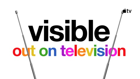 Visible: Out on Television
