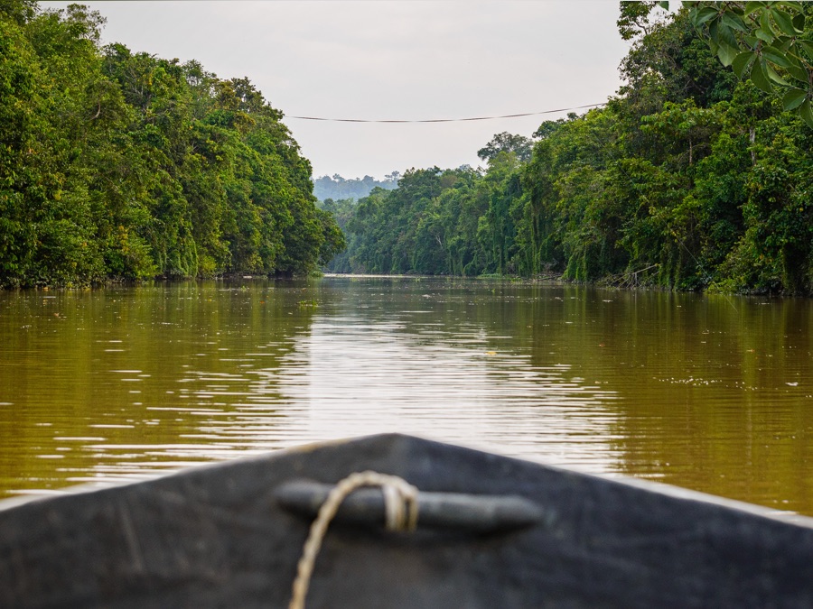Destino wild: Río salvaje - Apple TV