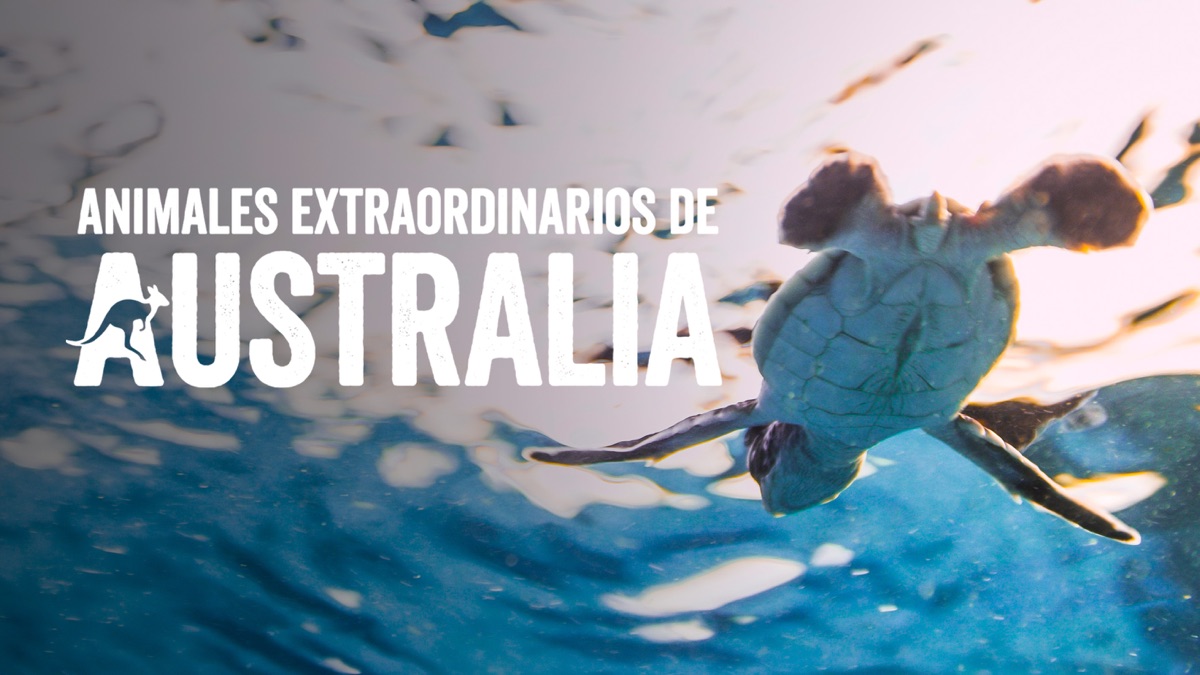 ‎Animales extraordinarios de Australia - Apple TV