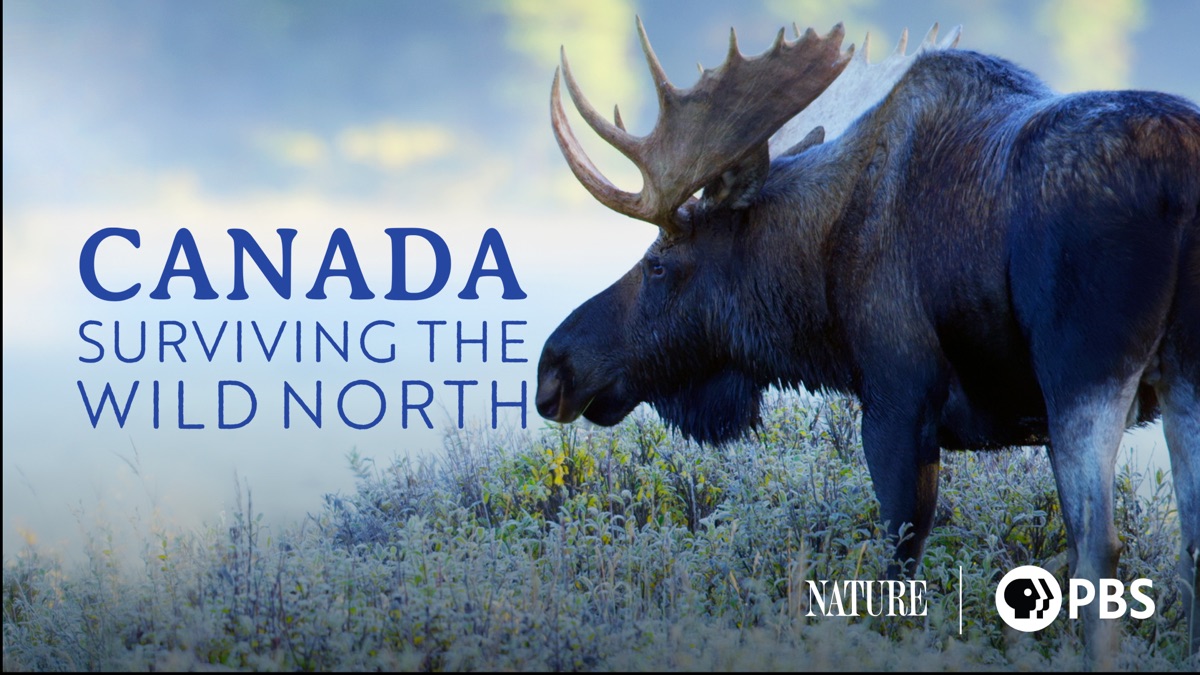Canada: Surviving the Wild North - Apple TV
