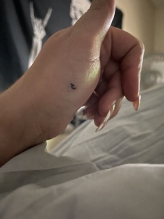 Scotty's Tattoo & piercings photo 9