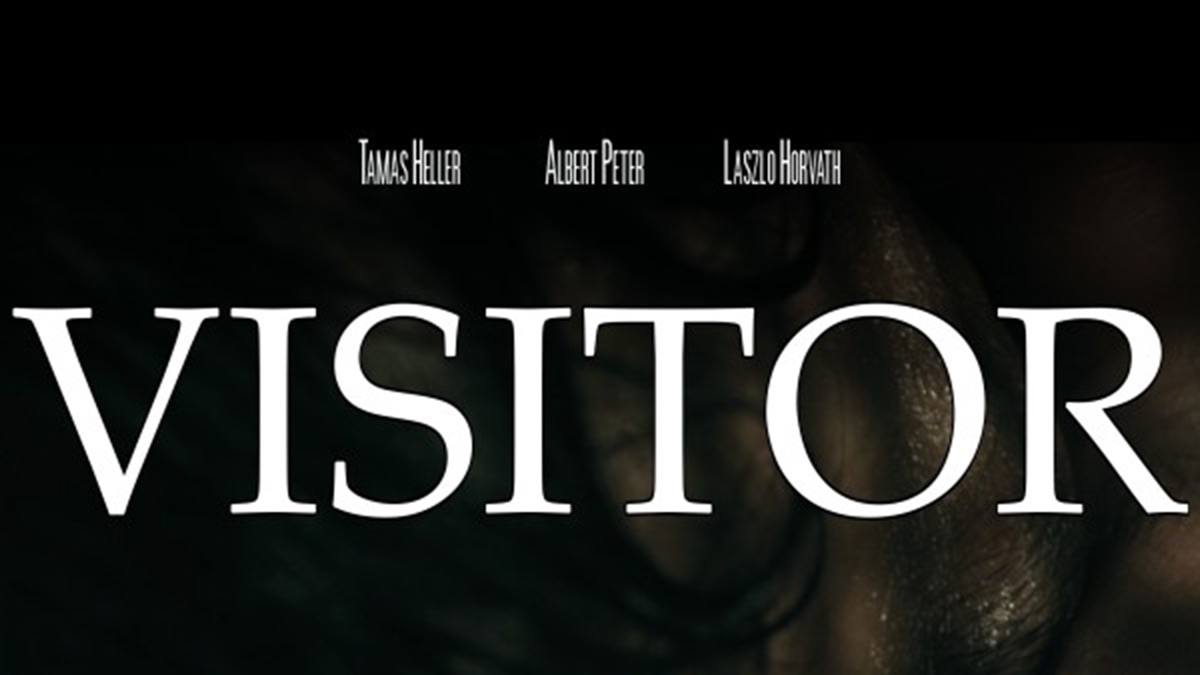 ‎Visitor - Apple TV