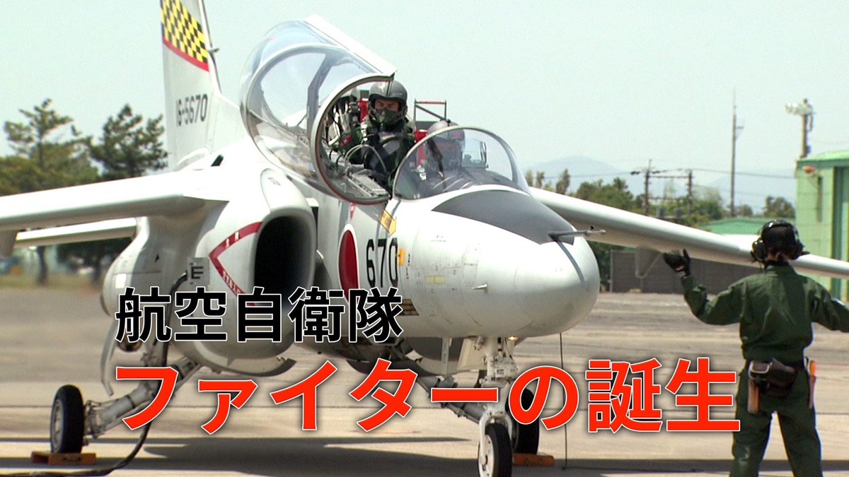 航空自衛隊 ファイターの誕生 浜松教育飛行隊の青春 WAC-D653 [DVD] 航空自衛隊 ファイターの誕生 - Apple TV