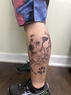 Amygdala Ink Tattoo Studio tattoo studio in Norwalk Center