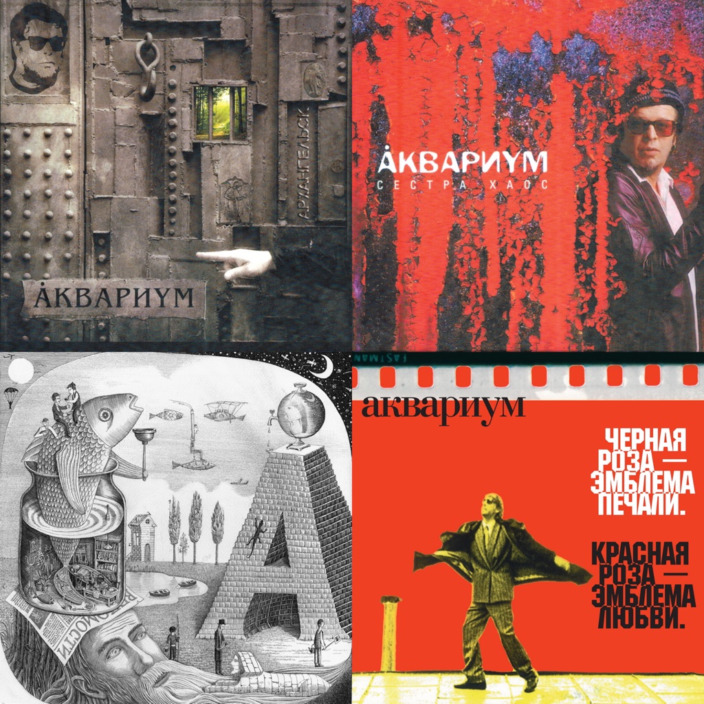 Akvarium: Next Steps