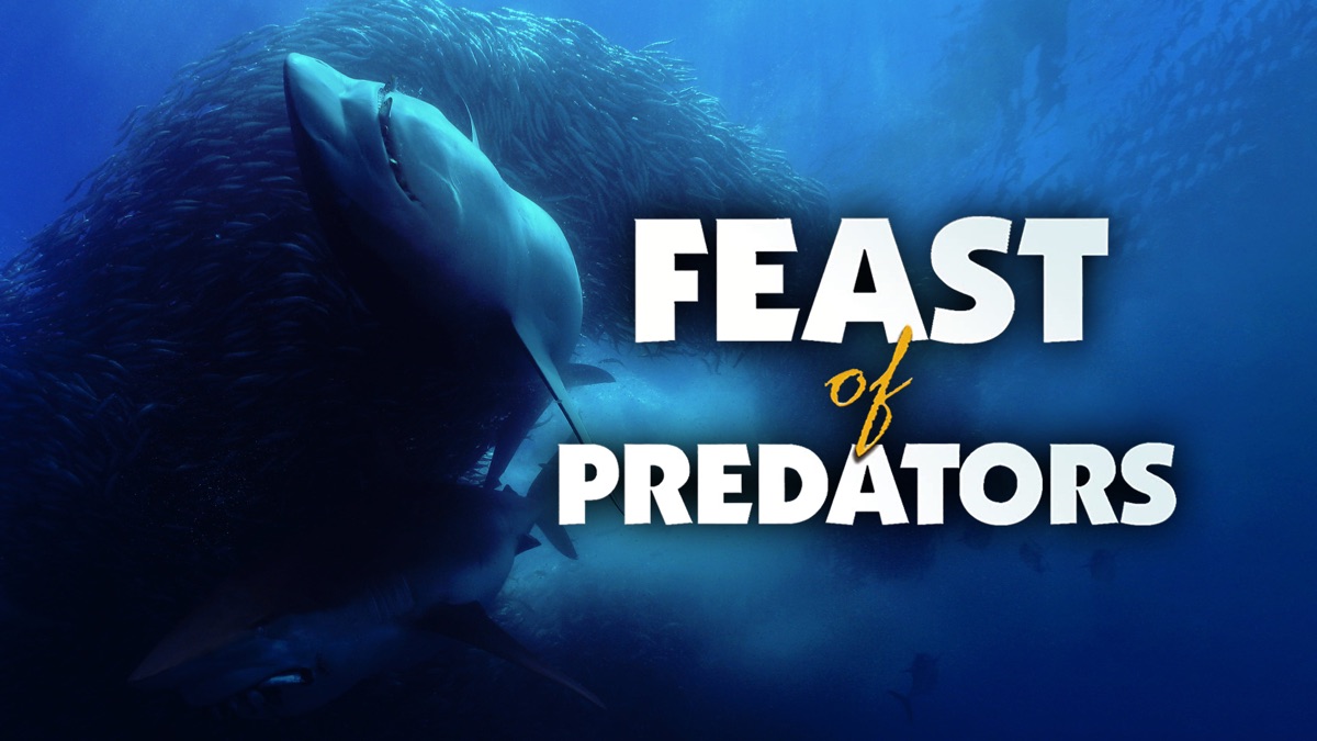 ‎Feast of Predators - Apple TV