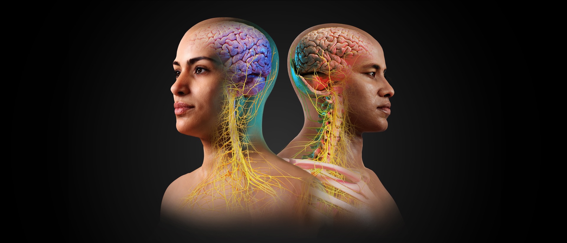 Complete Anatomy for iPhone product page header
