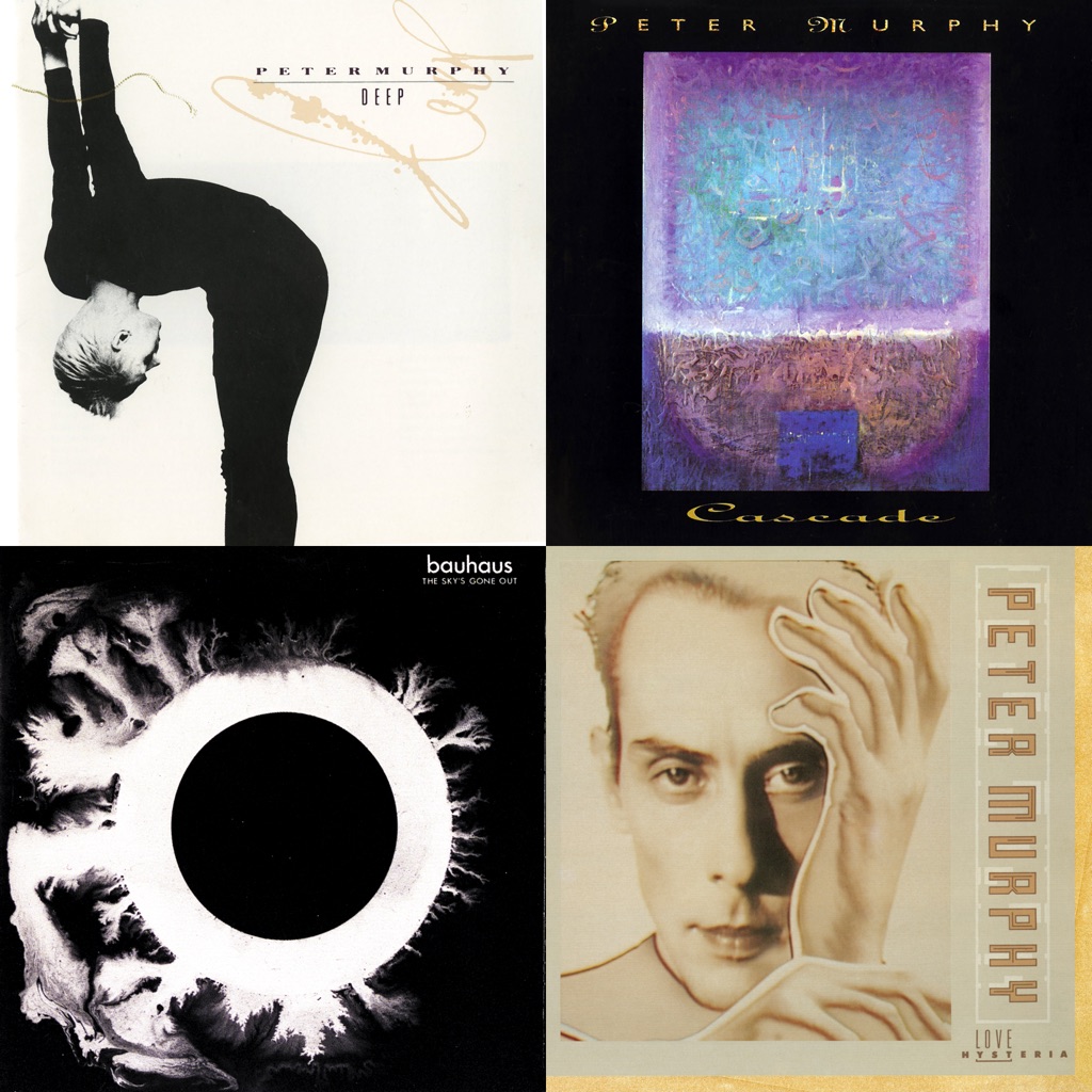 Peter Murphy: Next Steps