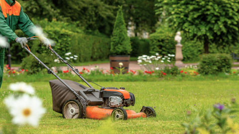 Read more about Get your yard summer-ready