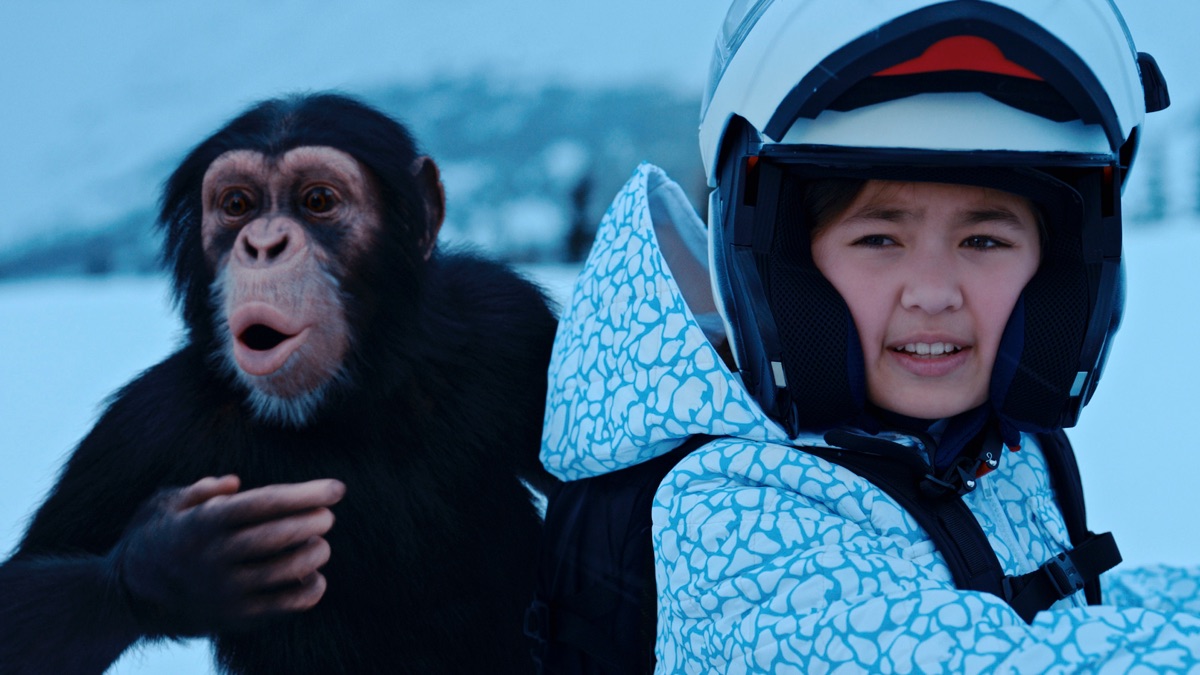 Watch Ursus maritimus Jane (Season 1, Episode 1) Apple TV+