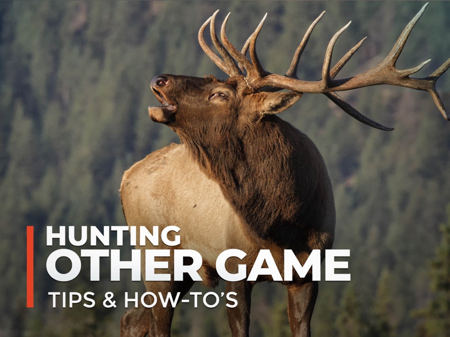 Hunting - Other Game Tips & How-To's - Apple TV