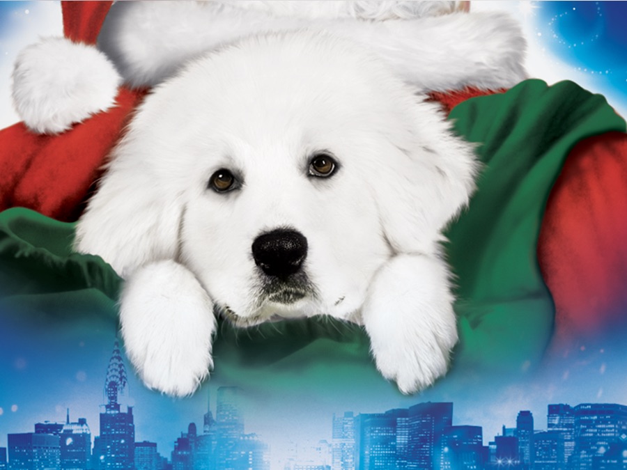 The Search for Santa Paws - Apple TV (BE)