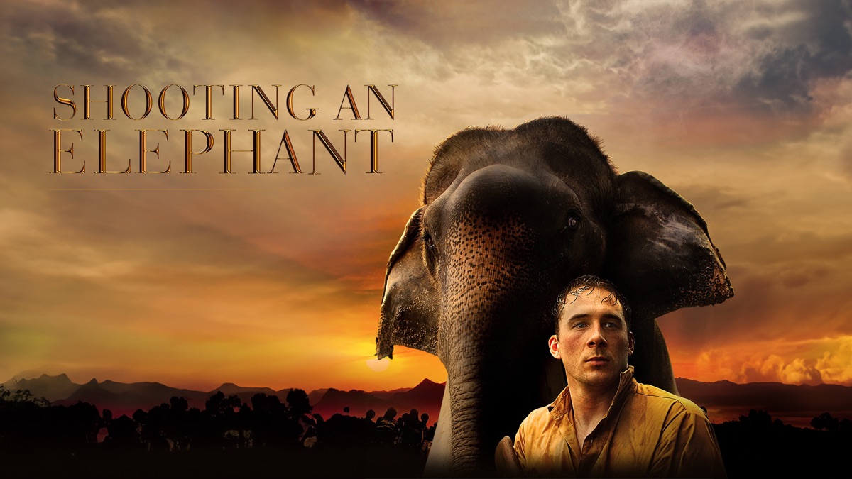 ‎Shooting an Elephant - Apple TV