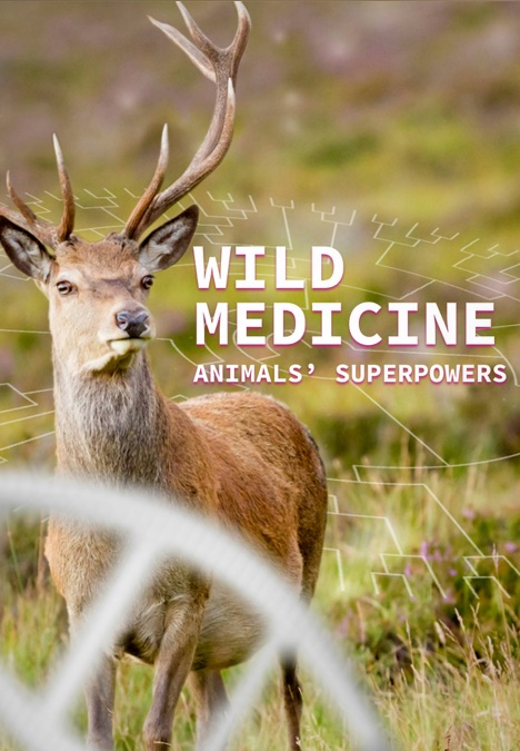 ‎Wild Medicine - Animals' Superpowers - Apple TV