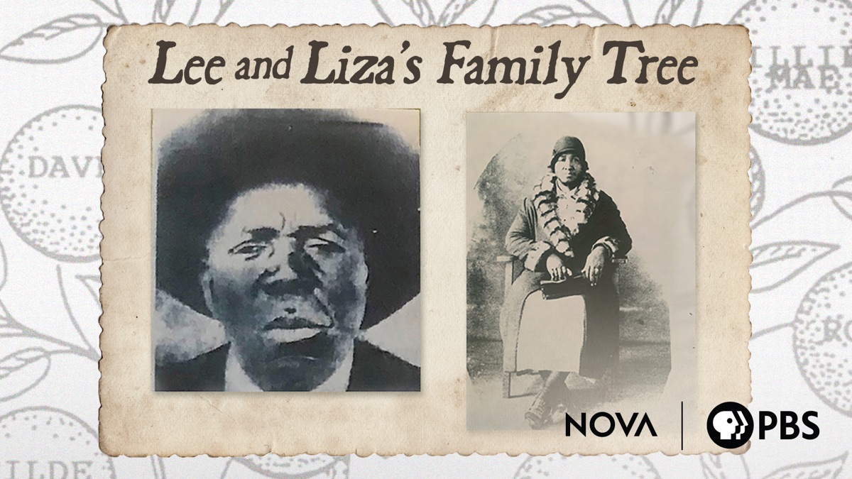 lee-and-liza-s-family-tree-apple-tv
