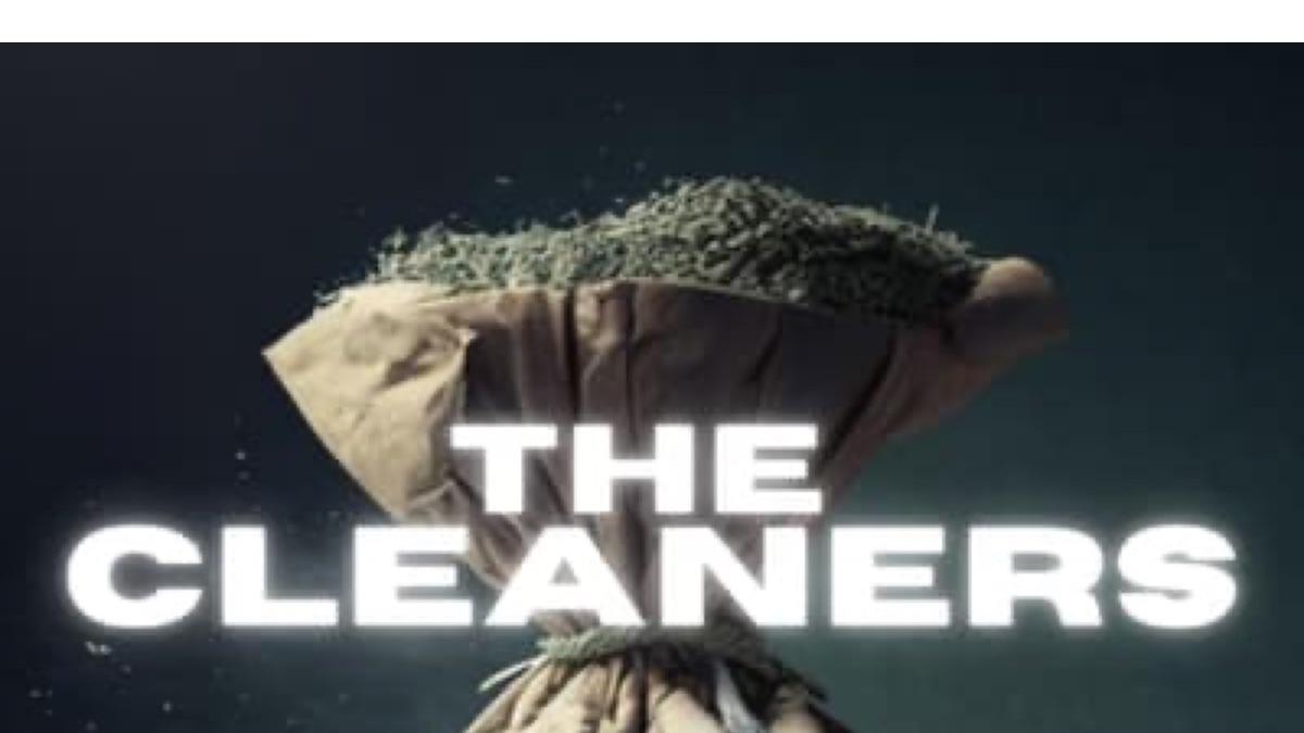 ‎The Cleaners - Apple TV