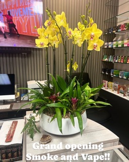 vape shop south wigston The Vape House South Wigston