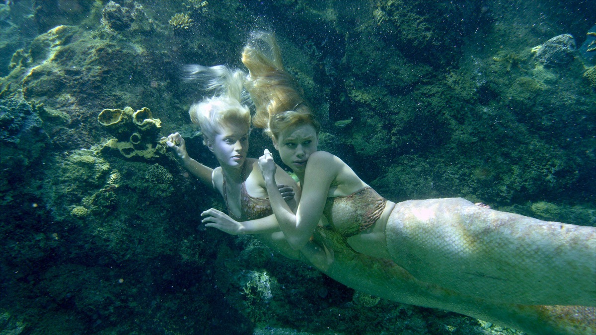Mako Mermaids - Lyla & Zac 
