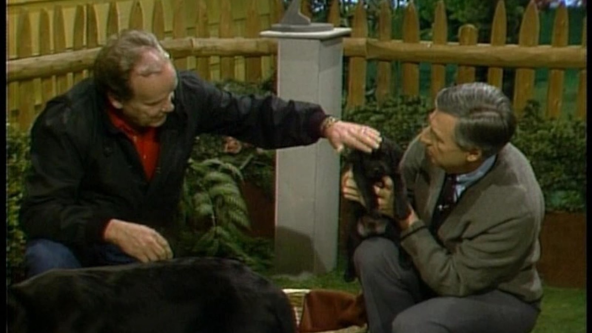 ‎Families: Mister Rogers Talks About Adoption – Mister Rogers ...