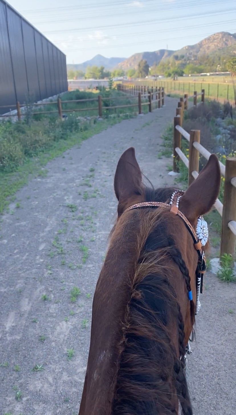 Lakeside Equestrian Park