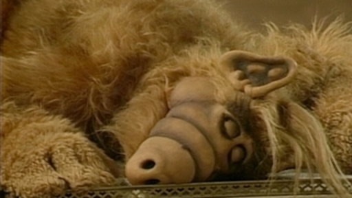 ‎Le visiteur inconnu - Alf (saison 1, épisode 1) - Apple TV (FR)