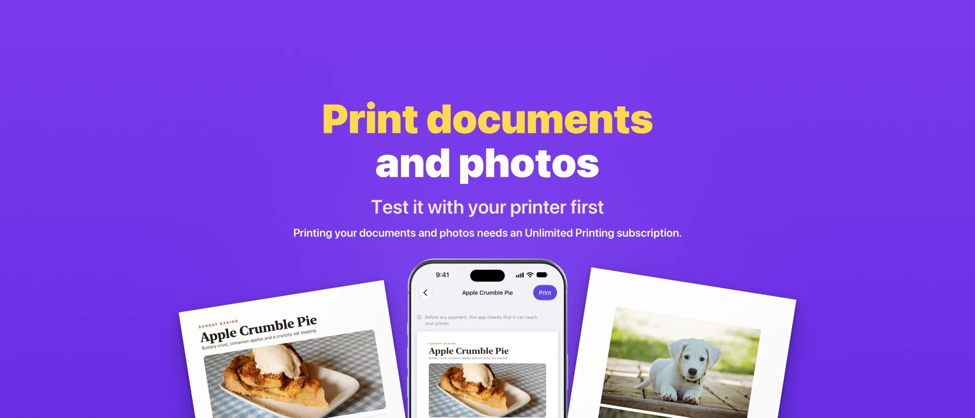 iPrint Printer for AirPrint product page header